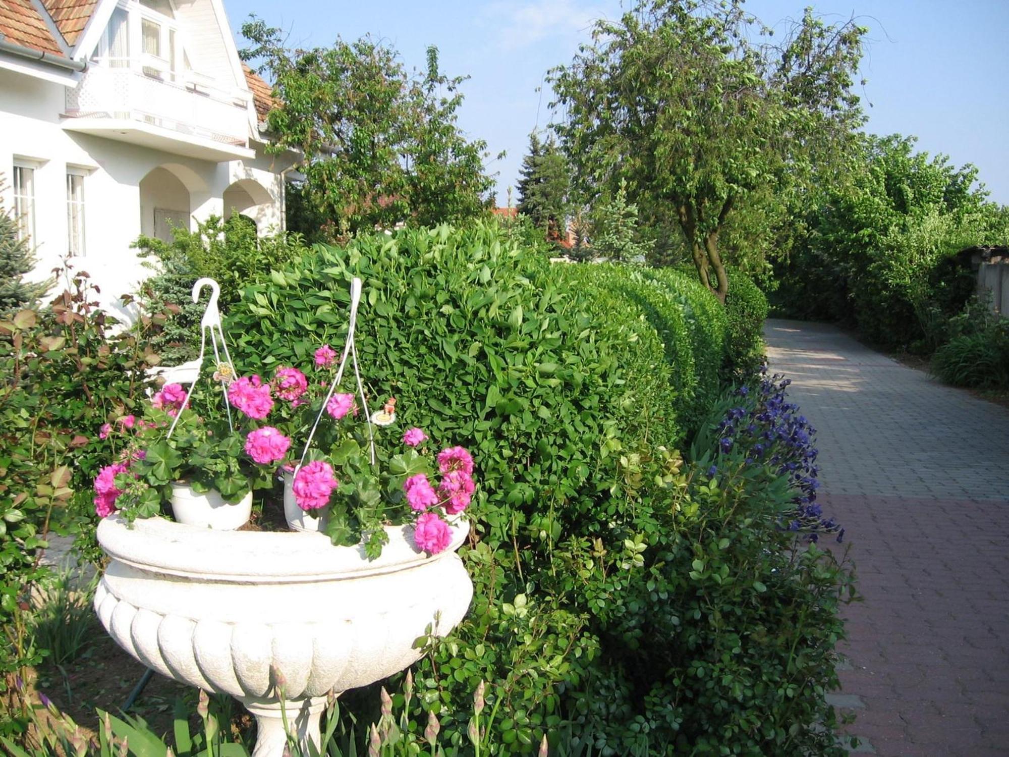 Pension Ovari Buk Ngoại thất bức ảnh